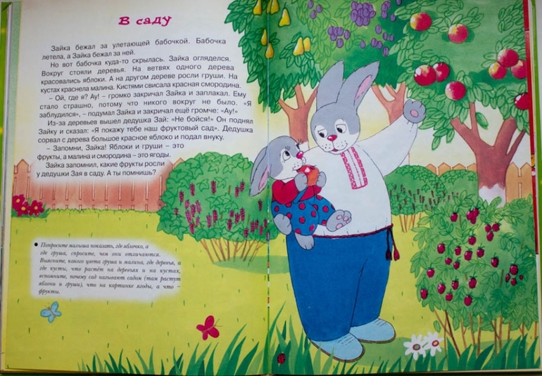 Книги-мечты для развития речи