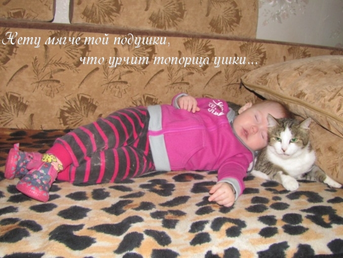 О ребятах и зверятах...