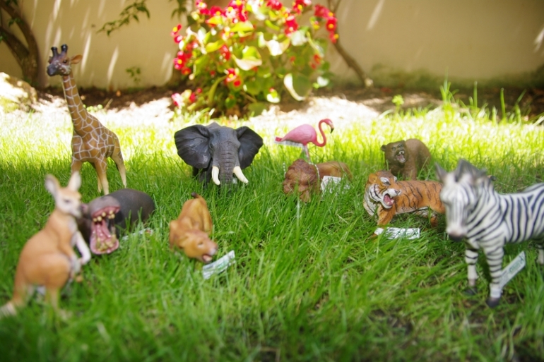 Zoo