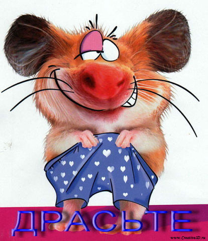 Приветствие)))