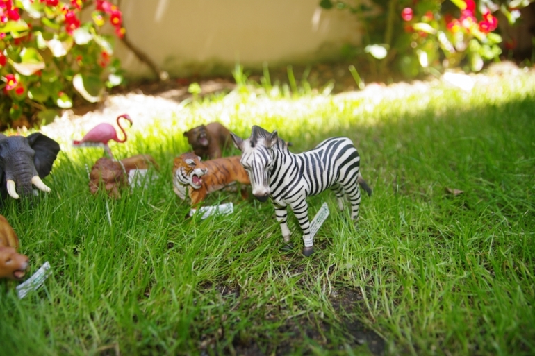 Zoo