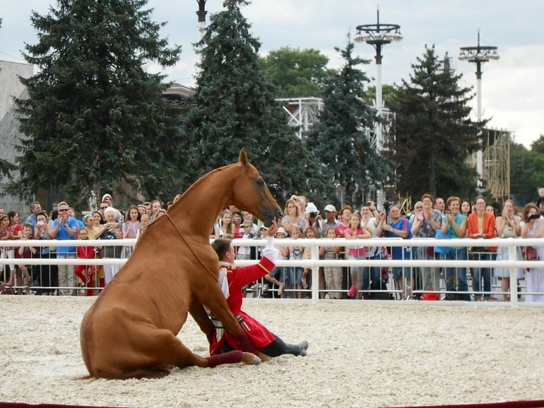 Конноспортивное шоу на ВВЦ
