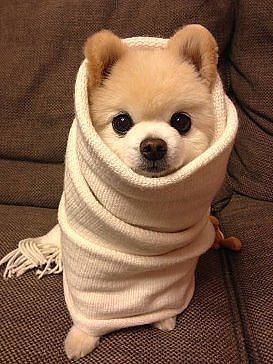 Милашки.