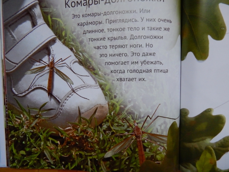 Книжка для сыночка (апрель).
