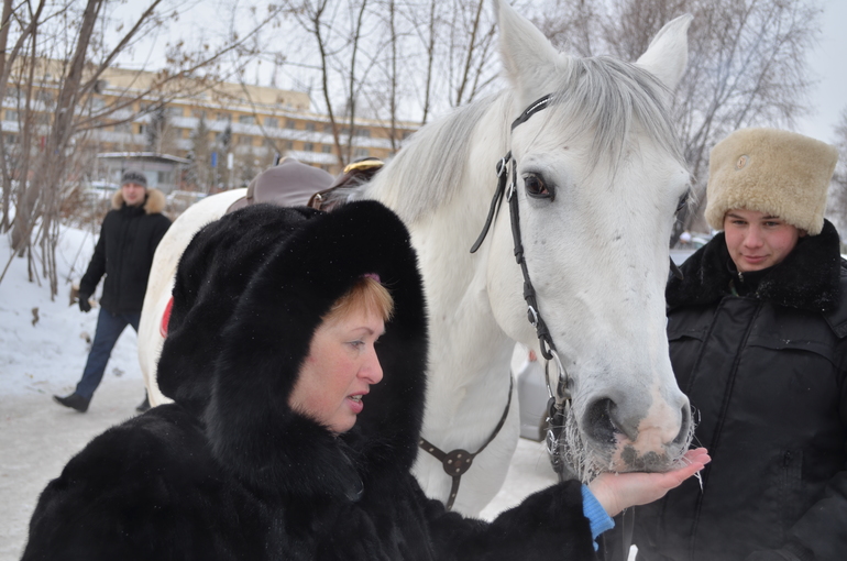 Про лошадку