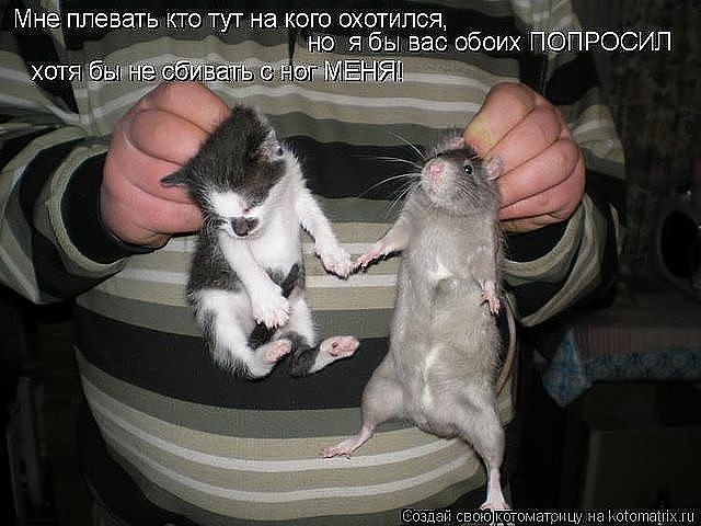 Порция пятничного позитива:)