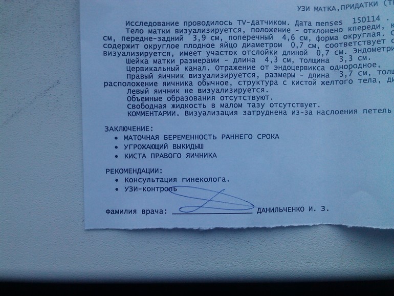 Первая встреча с бусинкой или что я пережила за эти пару часов...