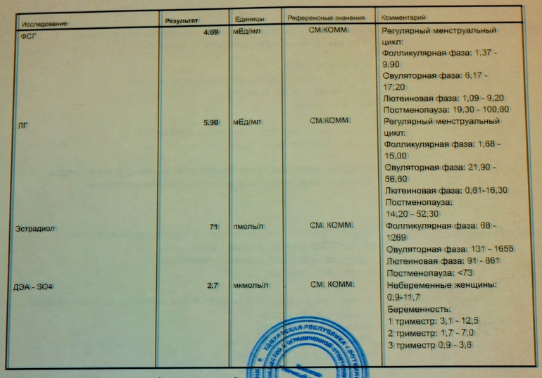 Анализы