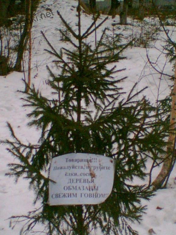 Перлы русского языка в объявлениях