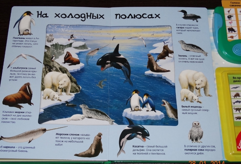 Замечательная книга по очень низкой цене!
