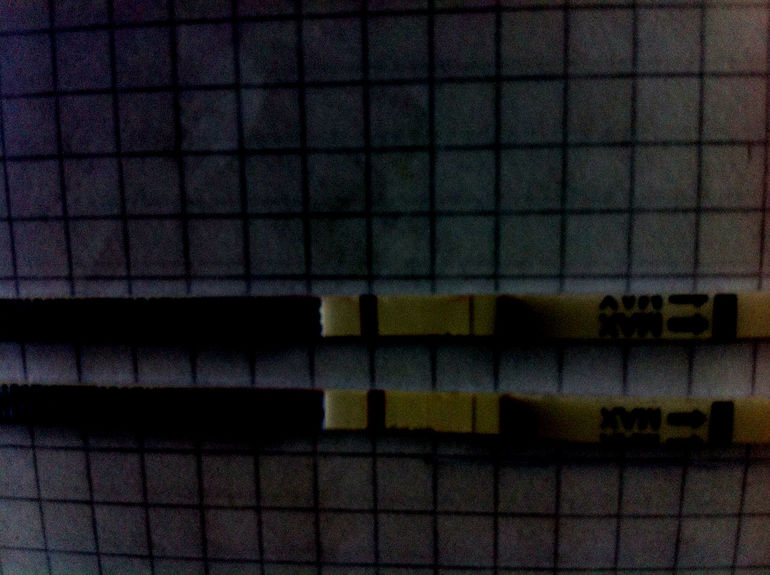 9ДПО чисто
