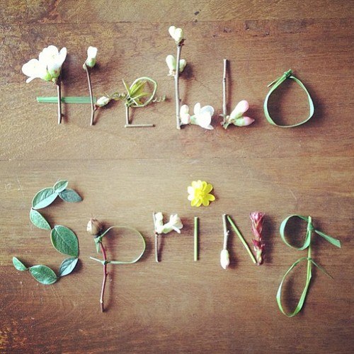 Hello, Spring!