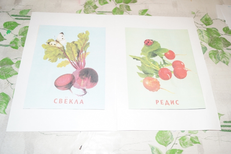 3-й день ФМ "Овощи"