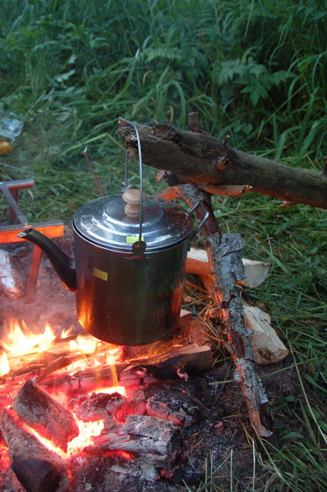 Одноночный многодетный поход