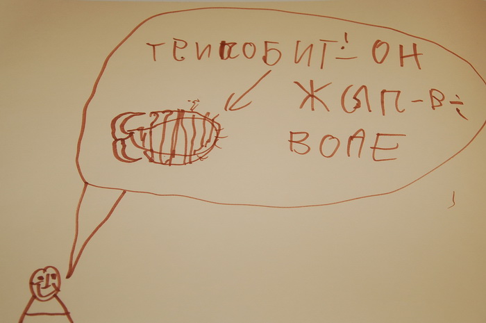 Музей Дарвина