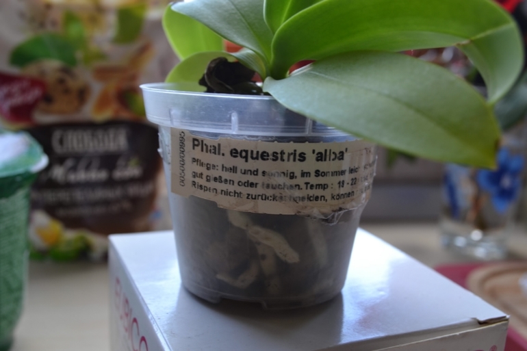 Наконец-то...