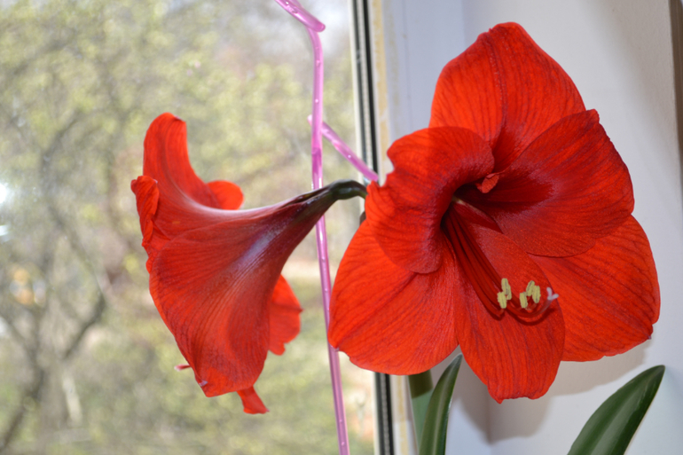 Ой, девочки, хвастаюсь...