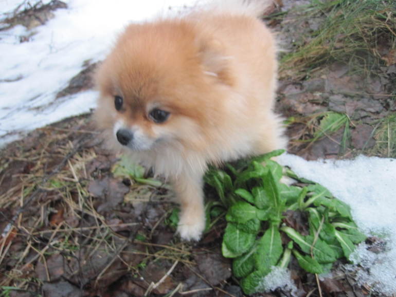 Такие странные каникулы.