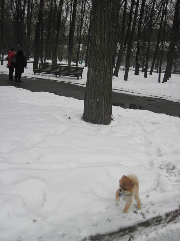 И про сегодня. Про Афа.