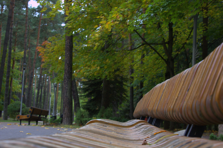 Минск. Осень 2013 г