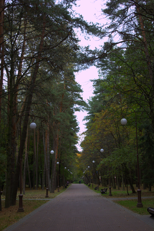 Минск. Осень 2013 г