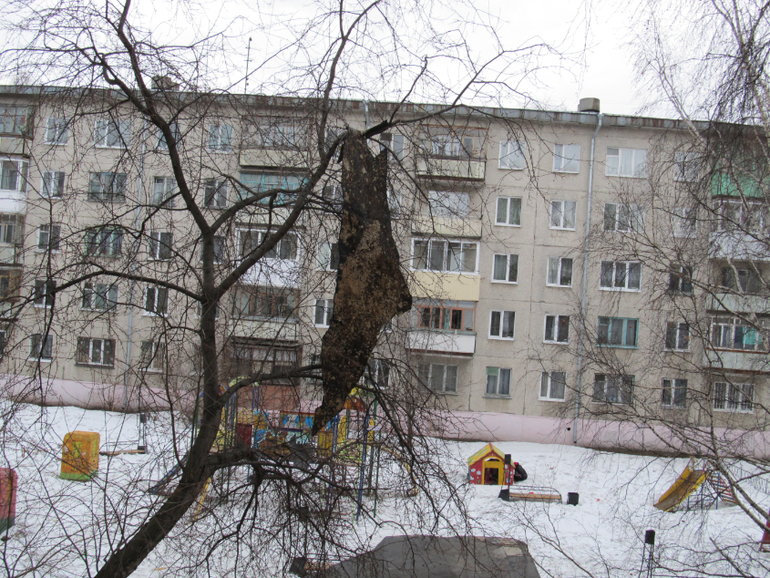 Что же дальше делать?