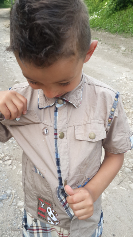 сегодняшние приключения