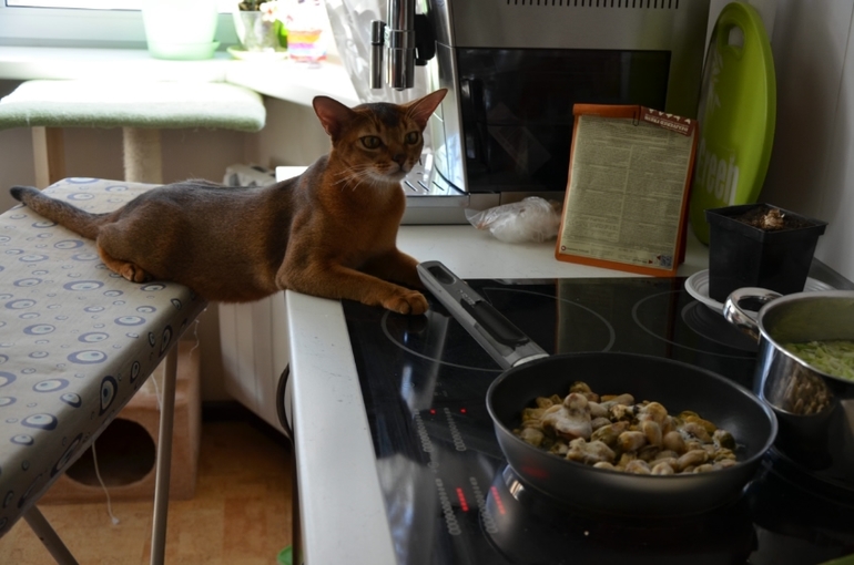 Ожидание завтрака.