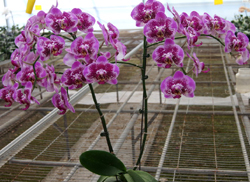 У меня сегодня праздник))