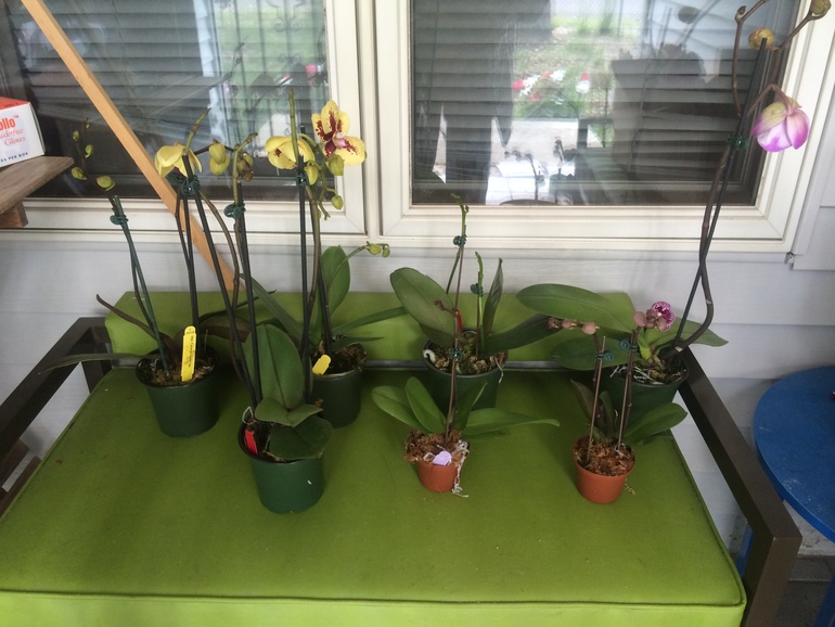 У меня сегодня праздник))