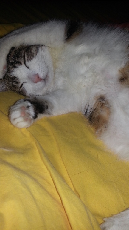 мой уставший мальчик