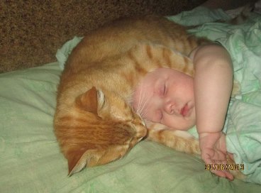 Не удержалась - делюсь)