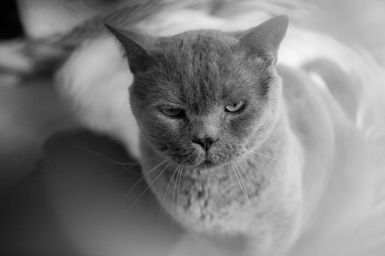 Как я не хотел фотографироваться