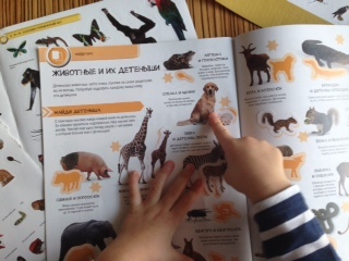 Направление  SOUTH--NORTH