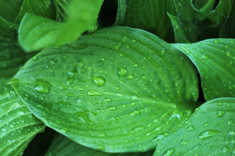 Насекомушки