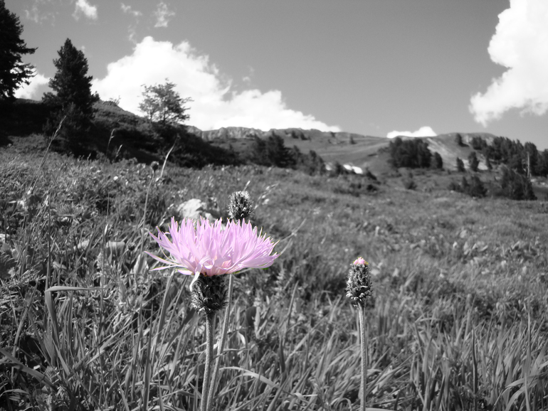 Контрольное задание № 6. Три способа цветокоррекций фотографий