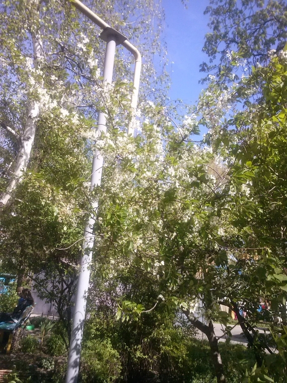 Делюсь теплом весенним:)