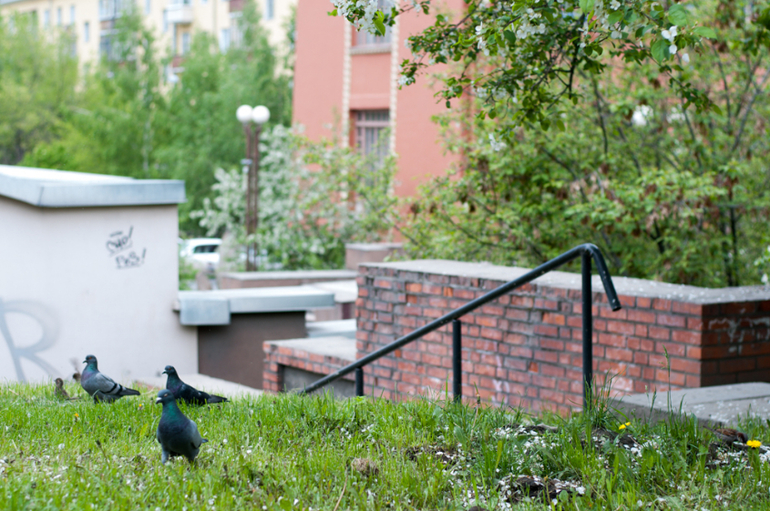 Прогулка 07.06.2014 (много фоток)