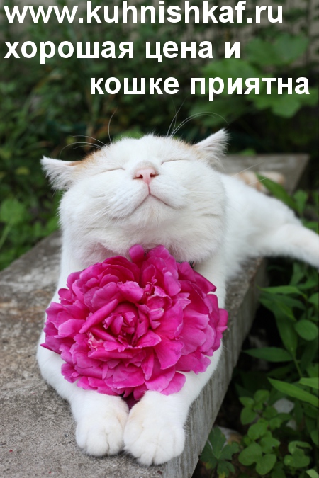 хорошая мебель для дома