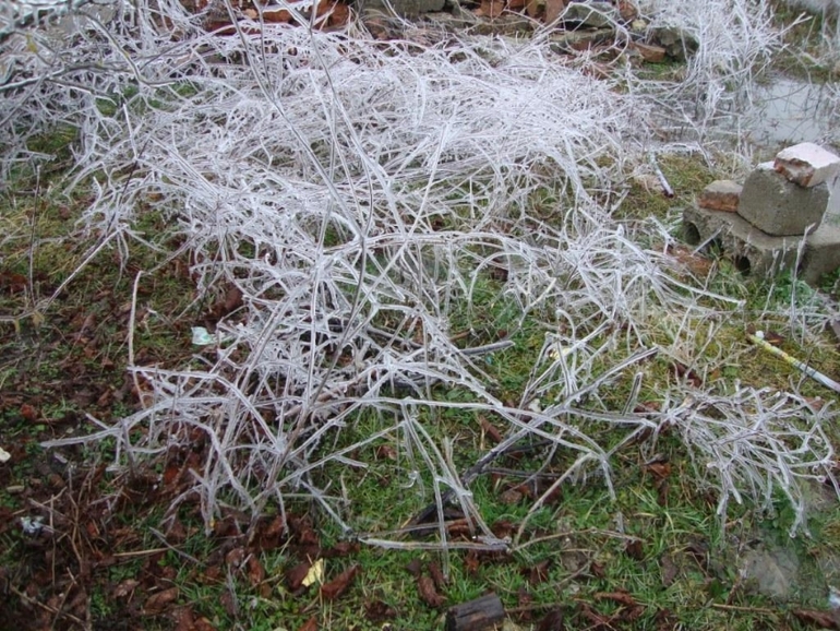 Кубанская зима продолжение