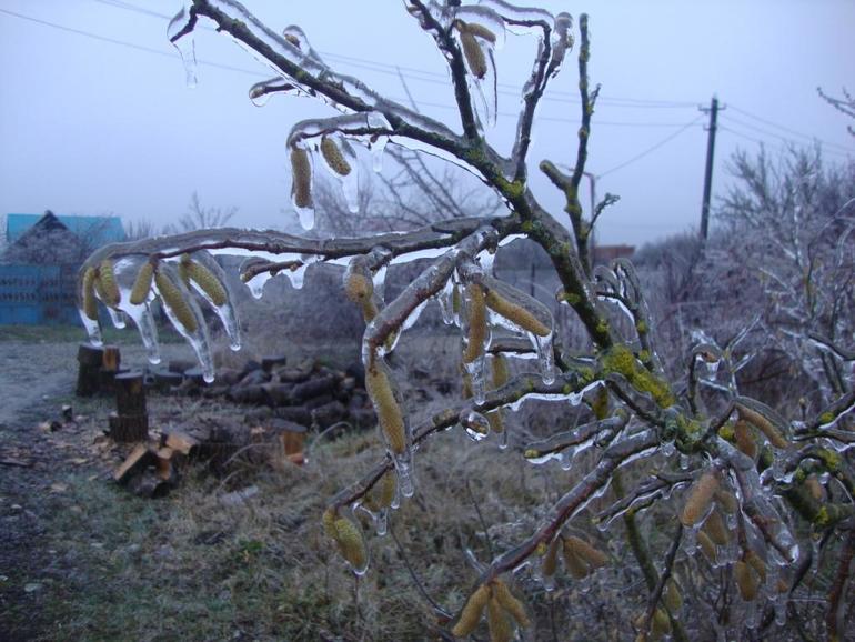 Кубанская зима продолжение