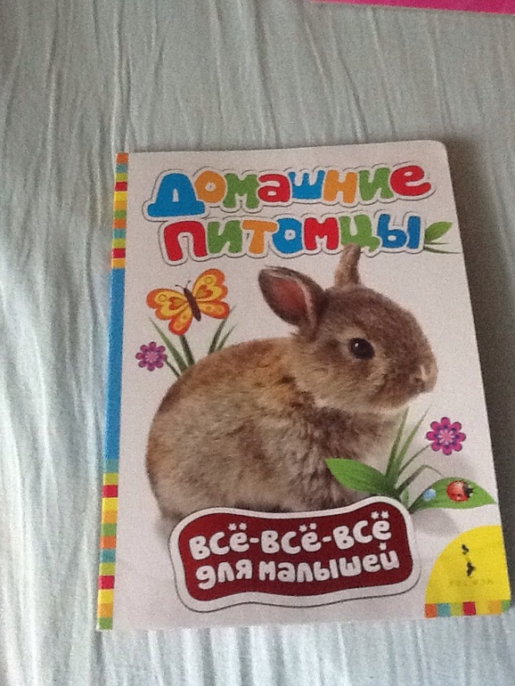 Наша библиотека (часть1)