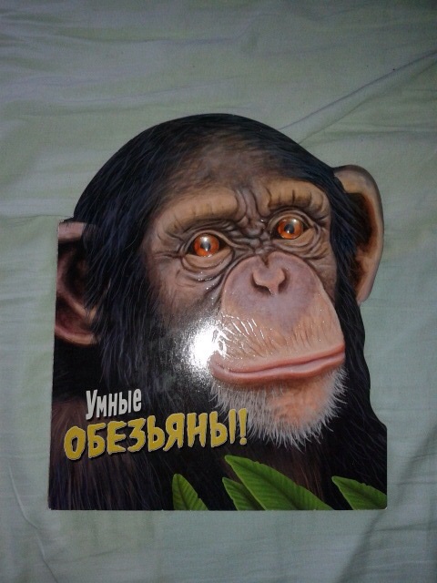 Наши книги, может кому пригодится