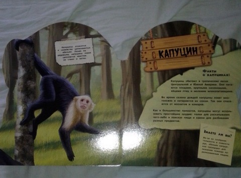 Наши книги, может кому пригодится