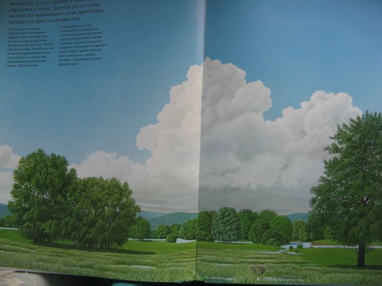 Большая книга о лесах и деревьях