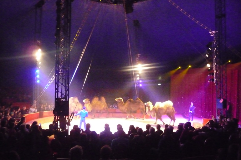 Наш первый поход в цирк в городе Триер.