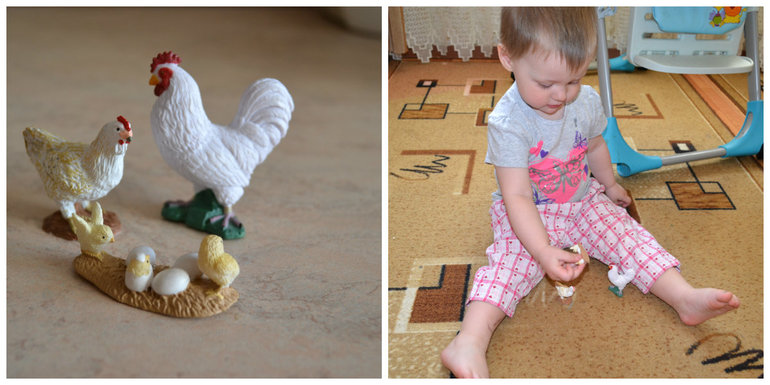 ТЗ Курица, петух, цыпленок