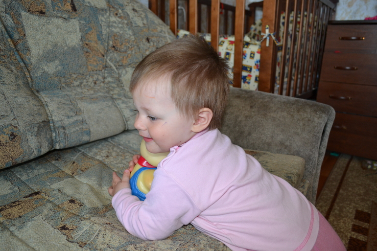 ТЗ Поросенок