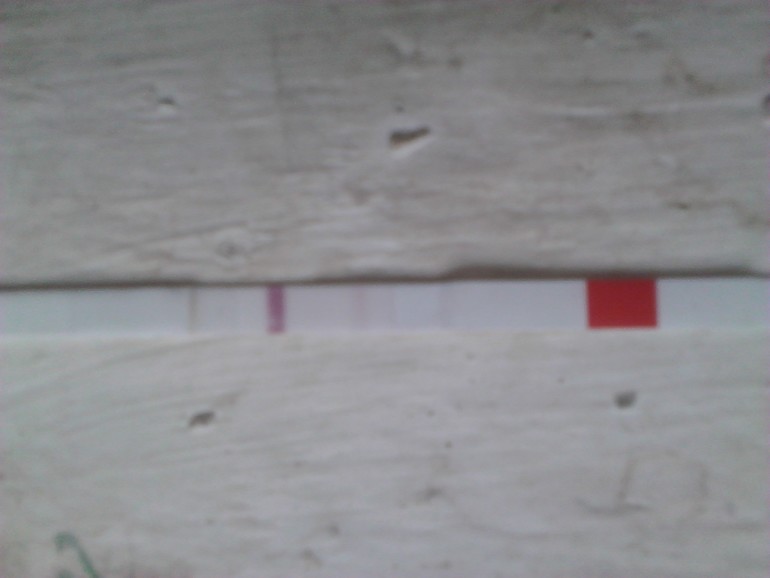 Сбылась заветная мечта!!!!!