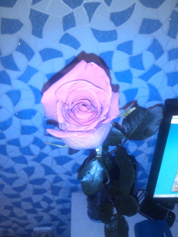 Будущий папочка нас поздравил)))))